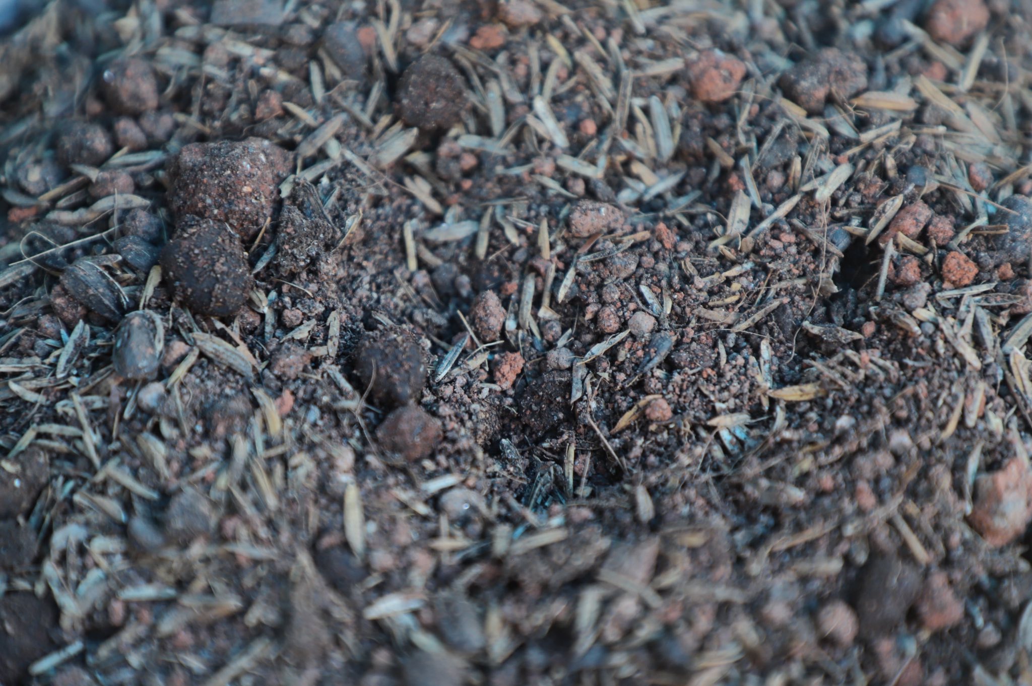 title - เลขาฯ ส.ป.ก. พร้อมคณะ ร่วมลงพื้นที่ติดตามคณะ รมช.กษ. ตรวจราชการ ณ ตำบลอ่าวลึก